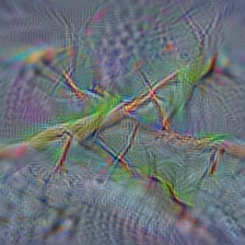 n02229544 cricket